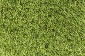 WinterGreen 78 Pre-Cut - 7ft. x 10ft. (70 SQ FT.)