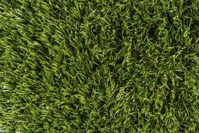 Torrey Pines 75 (pre-cuts) - Large