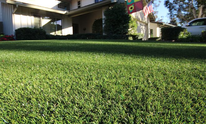 synthetic-turf-landscaping